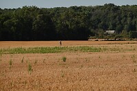 IMG_0572