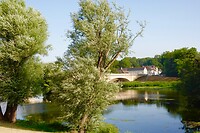 IMG_0601