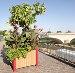 IMG_0603