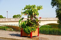 IMG_0604