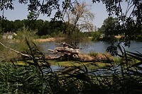 IMG_0608