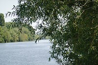 IMG_0612
