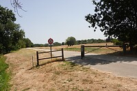 IMG_0607