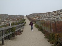 DSC00137