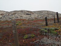 DSC00139