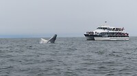 IMG_0275