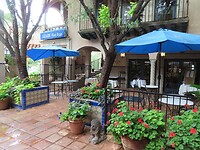 IMG_0594