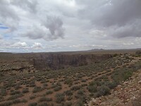 DSC00239