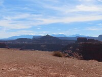 IMG_0803