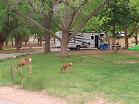 IMG_0878