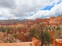 IMG_0960