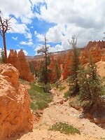 IMG_0958