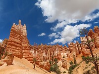 IMG_0954