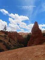 IMG_0951