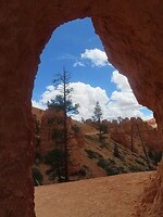 IMG_0950