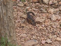IMG_0945