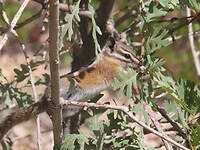 IMG_0944