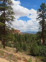 IMG_0938