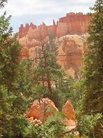 IMG_0927
