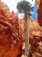 IMG_0919
