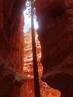 IMG_0918