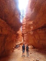 IMG_0917