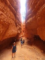 IMG_0916