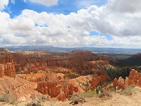 IMG_0910
