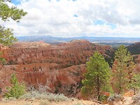 IMG_0908