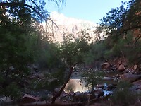 IMG_0981