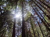 IMG_1146