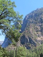 IMG_1148