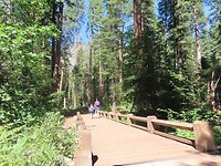 IMG_1160