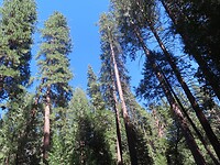 IMG_1152