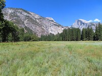 IMG_1167
