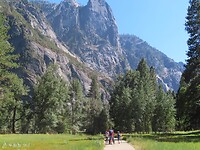IMG_1169