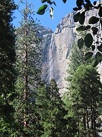 IMG_1181