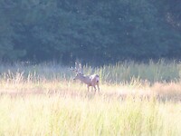 IMG_1186