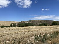 IMG-7101
