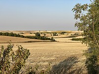 IMG_8434