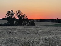 IMG_8426