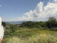 IMG_9517
