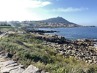 IMG_9532