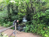 IMG_9626