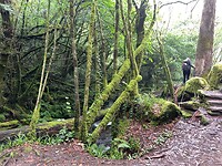 IMG_9630