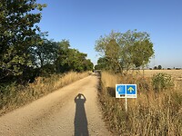 IMG_1165