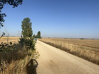 IMG_1167