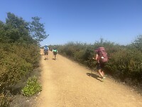 IMG_1170