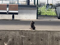 IMG_2200