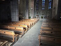 IMG_2206